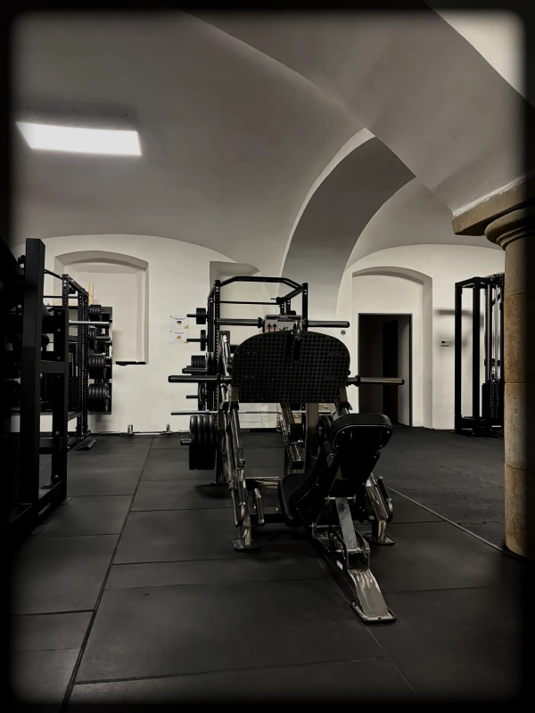 vfitgym-Legpress