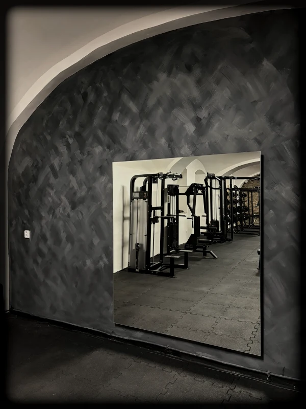 vfitgym-Zrcadlo